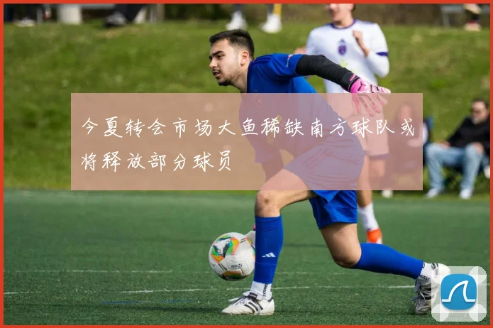 今夏转会市场大鱼稀缺南方球队或将释放部分球员